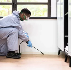 Photo d'un technicien réalisant une désinsectisation contre les fourmis en intérieur.