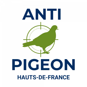 Logo entreprise de dépigeonnage Anti Pigeon Hauts de France.