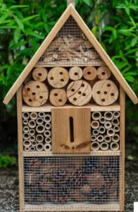 Photo d'un hôtel à insecte.